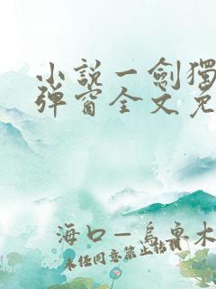 小说一剑独尊无弹窗全文免费阅读