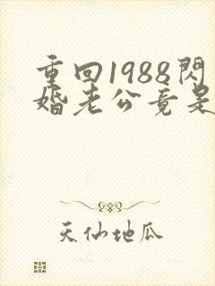 重回1988闪婚老公竟是军区大佬免费阅读全文