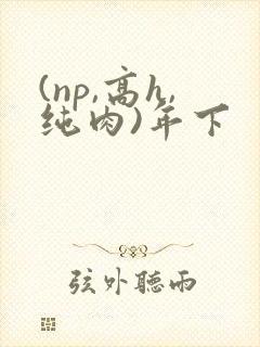 (np,高h,纯肉)年下