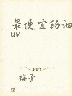 最便宜的油车suv