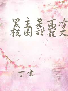 男主是高冷校草校园甜宠文