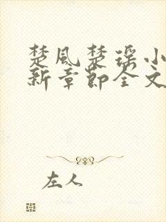 楚风楚瑶小说最新章节全文阅读