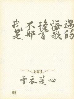 我不后悔遇见你是哪首歌的歌词