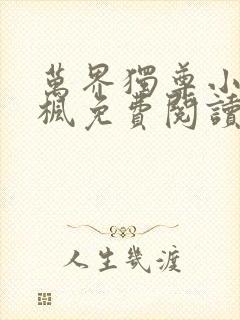 万界独尊小说林枫免费阅读