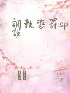 调教惩罚sp小说