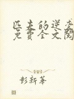 匹夫的逆袭小说免费全文阅读