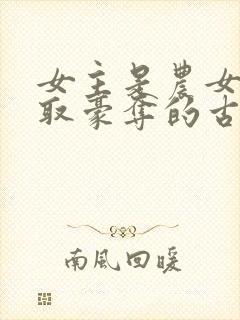 女主是农女被强取豪夺的古言