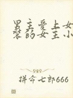 男主爱上女扮男装的女主小说