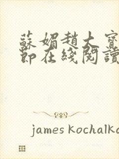 苏媚赵大宝全章节在线阅读