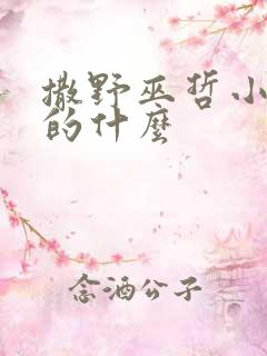 撒野巫哲小说讲的什么