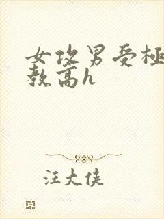 女攻男受极限调教高h