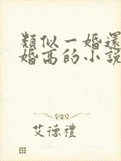 类似一婚还比一婚高的小说推荐