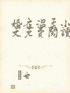 婚夜温柔小说全文免费阅读