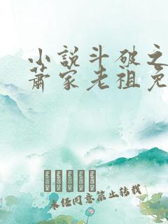 小说斗破之我乃萧家老祖免费看