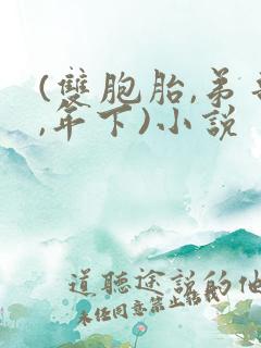 (双胞胎,弟哥,年下)小说