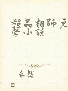 超品相师免费有声小说