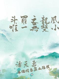 斗罗之龙凰传说唯一无双小说