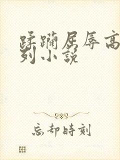 蹂躏屈辱高h系列小说