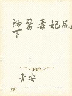 神医毒妃风华天下
