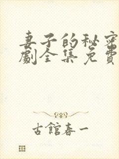 妻子的秘密电视剧全集免费观看