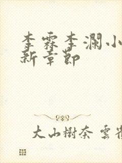 李霖李澜小说最新章节