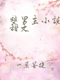 双男主小说推文甜文