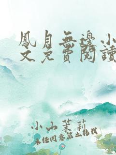 凤月无边小说全文免费阅读