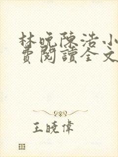 林晚陈浩小说免费阅读全文最新章节