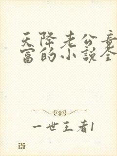 天降老公竟是首富的小说全文阅读