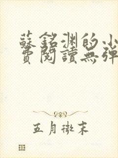 苏铭渊的小说免费阅读无弹窗全文