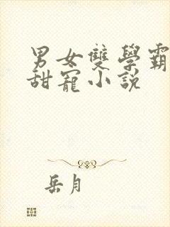 男女双学霸校园甜宠小说