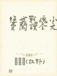 绝世战魂小说免费阅读全文在线