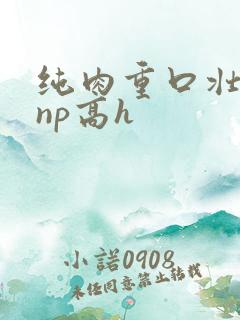 纯肉重口壮汉受np高h