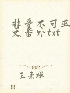 非爱不可巫哲全文番外txt