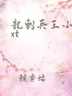 龙刺兵王小说txt