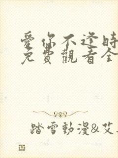 爱你不逢时短剧免费观看全集在线播放