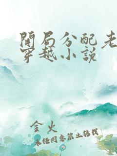 开局分配老婆的穿越小说