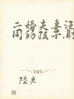 二婚夫妻没有共同的孩子,财产怎么分