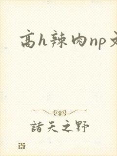 高h辣肉np文
