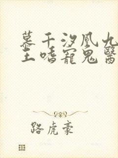 慕千汐凰九夜邪王嗜宠鬼医狂妃无弹窗