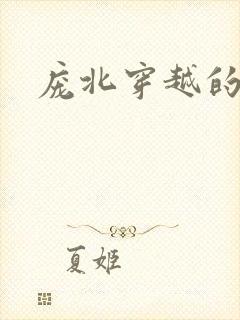 庞北穿越的小说