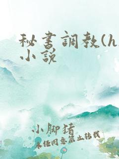 秘书调教(h)小说