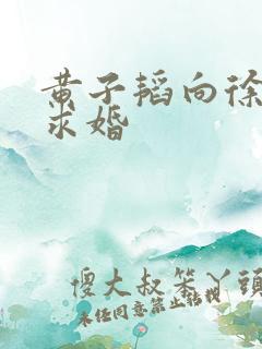 黄子韬向徐艺洋求婚