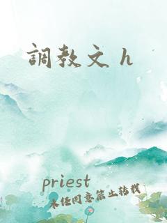 调教文 h