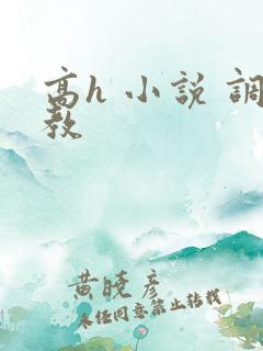 高h 小说 调教