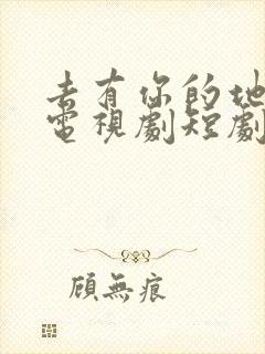 去有你的地方2电视剧短剧免费观看