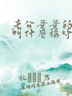 老公爸爸的弟弟叫什么称呼