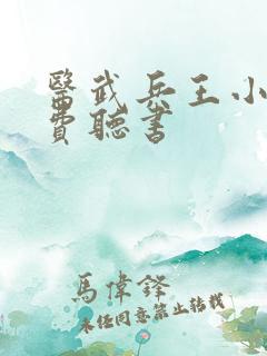 医武兵王小说免费听书