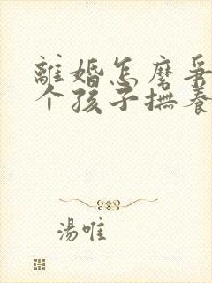 离婚怎么争取两个孩子抚养权