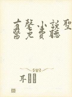 有声小说圣手神医免费听